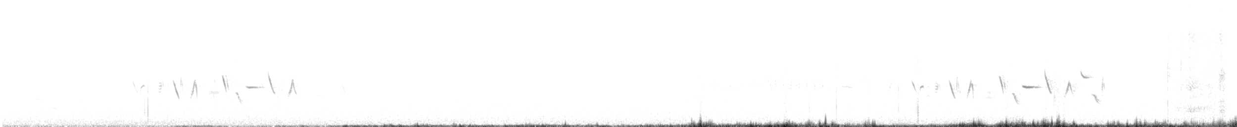 Bruant de Bell - ML635606811