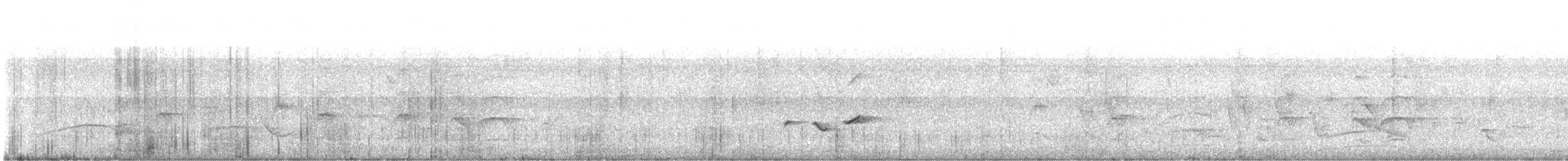Southern Beardless-Tyrannulet - ML635608448
