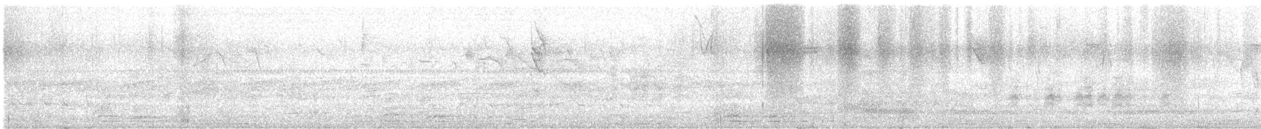 緋紅金剛鸚鵡 - ML635609238