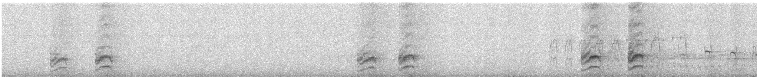 Crested Gallito - ML635612155