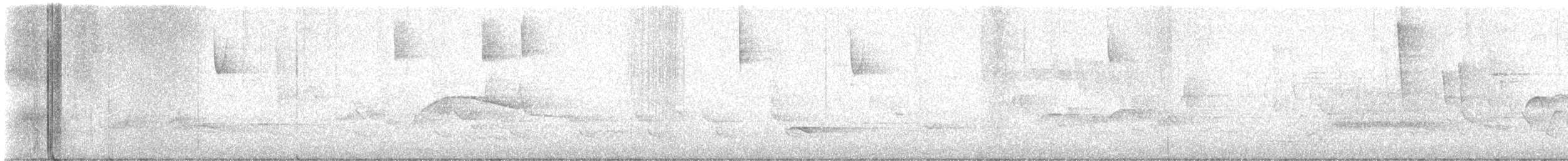 Eastern Wood-Pewee - ML635612388