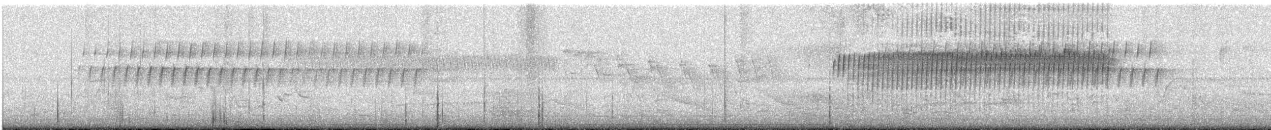 Worm-eating Warbler - ML635613316