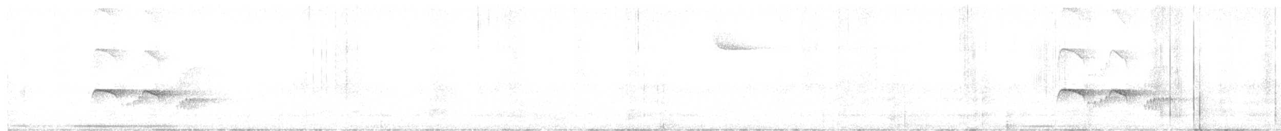 Southern Antpipit - ML635613612