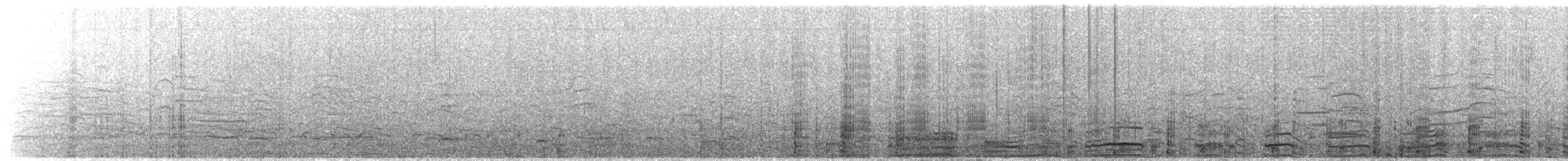 Krähenscharbe - ML63561471