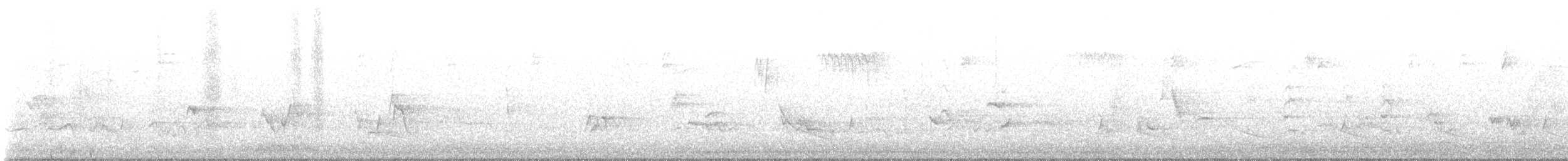 Black-throated Green Warbler - ML635615745