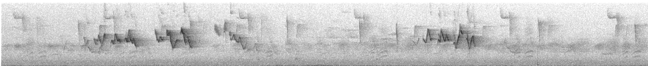 Chestnut-sided Warbler - ML635616001