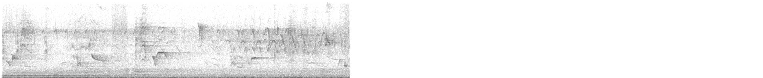 ネコマネドリ - ML635616902