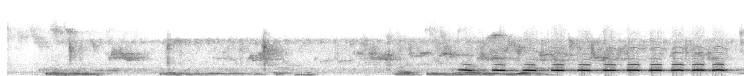 Short-tailed Antthrush - ML635617091