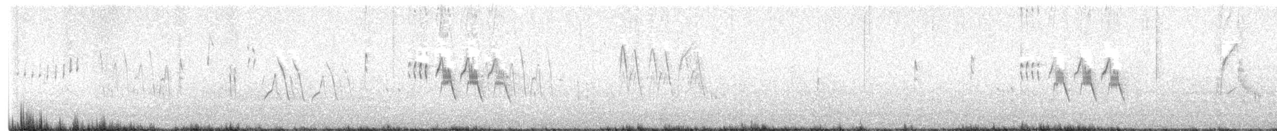 Pleske's Grasshopper Warbler - ML635618395