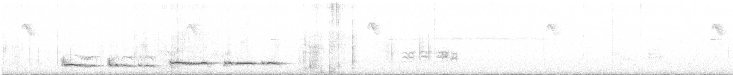 lenivka tečkovaná (ssp. maculatus) - ML635620656