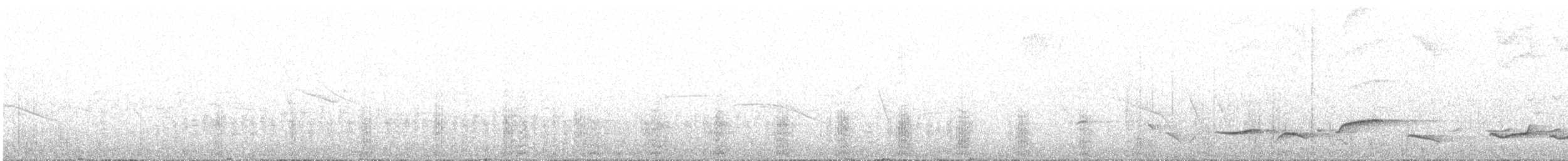 Tohi à nuque claire - ML635620688