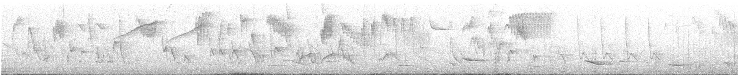 Tohi à nuque claire - ML635620975