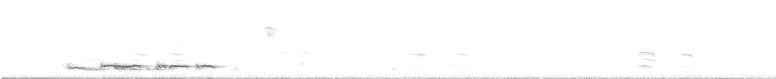 lenivka tečkovaná (ssp. maculatus) - ML635621086
