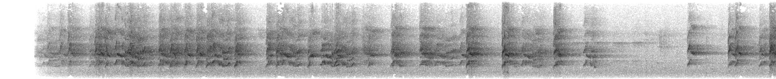 pyrura hnědoocasý - ML635621490
