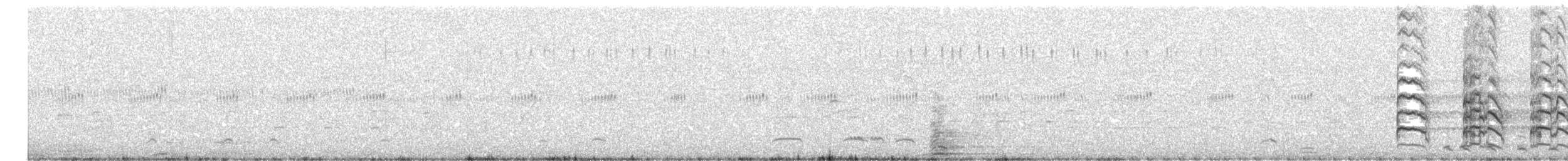 Yellow-billed Pintail - ML635630323