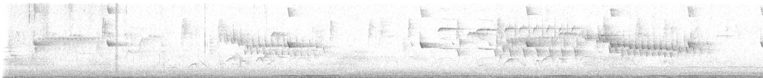 Tordo di Swainson - ML635631886
