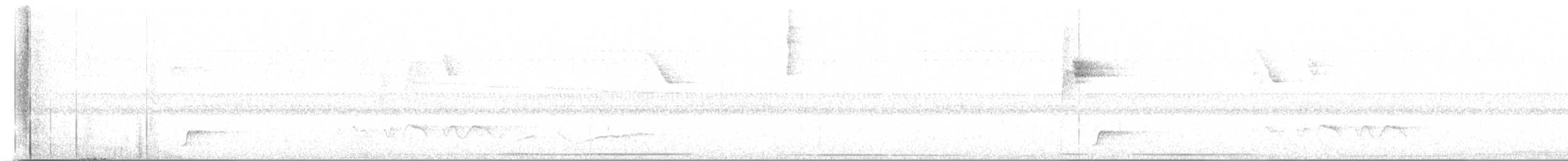 Short-tailed Antthrush - ML635632147