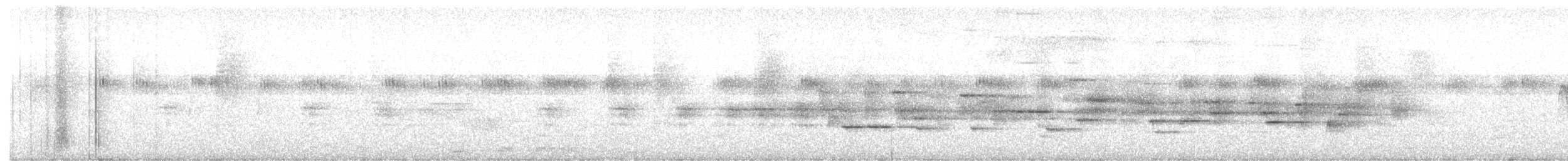 Broad-tailed Hummingbird - ML635635314