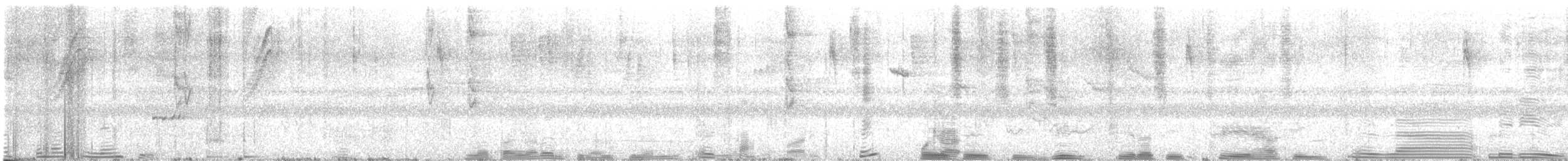 stripehodeparula - ML635635491