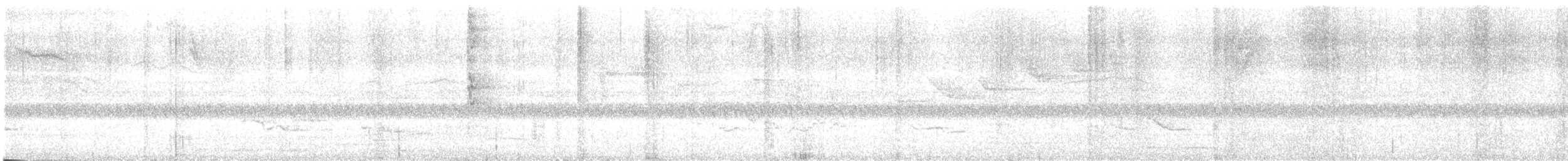 stripehodeparula - ML635635757