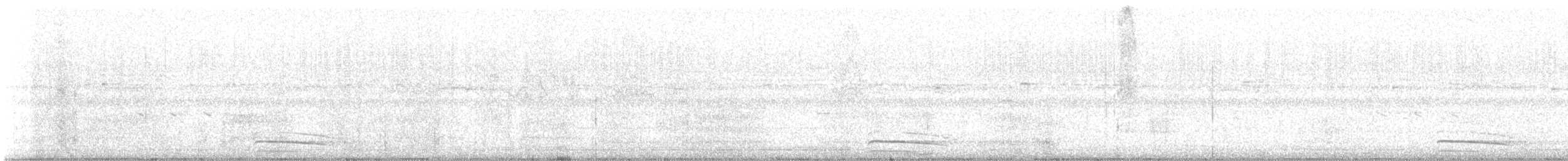 Slaty-backed Forest-Falcon - ML635637039