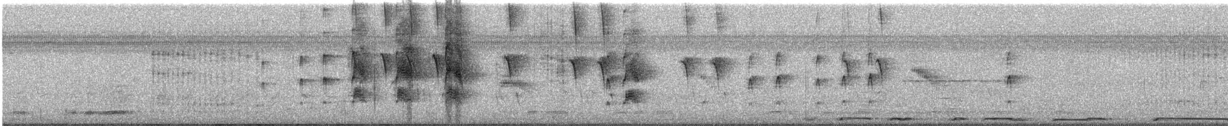 Couch's Kingbird - ML635638379