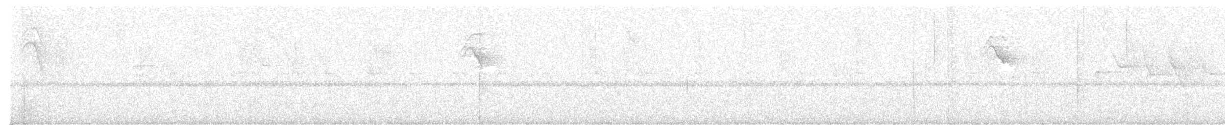 Southern Antpipit - ML635640686