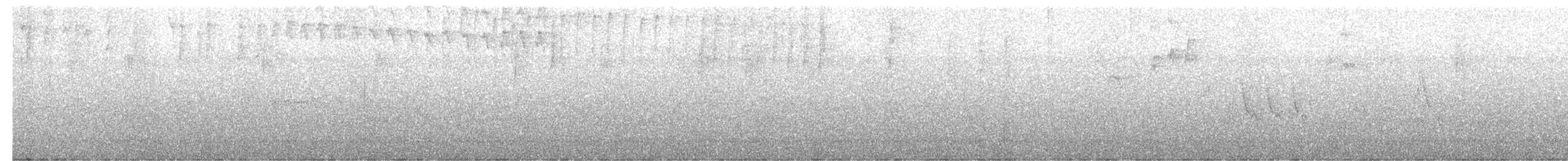 Southern House Wren - ML635642229