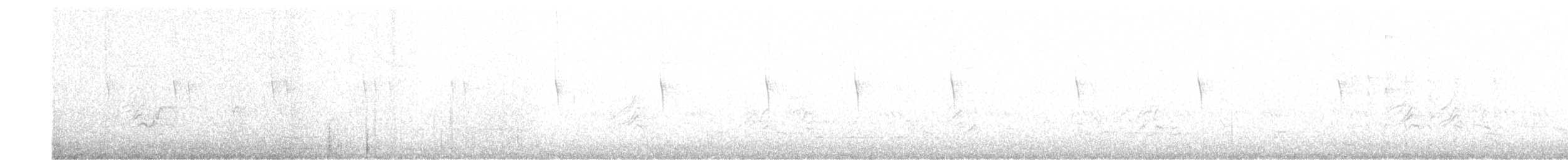 Rivoli's Hummingbird - ML635643329