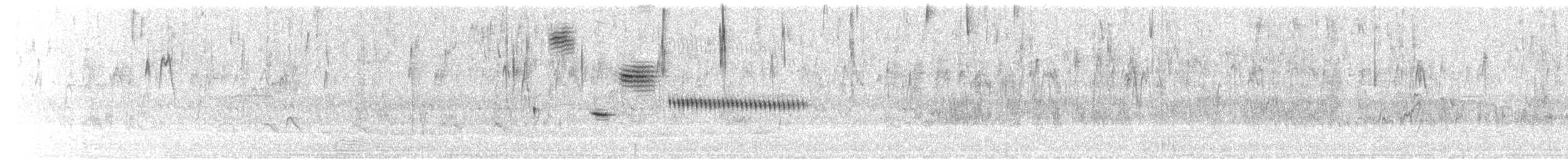 Grassland Sparrow - ML635644526