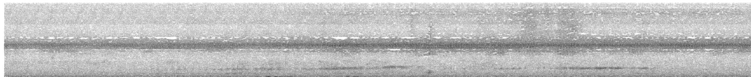 パラグアイタシギ - ML635645486