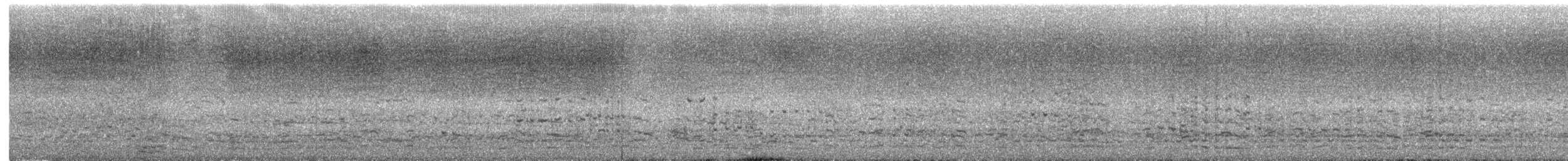 Australasian Gannet - ML635645772