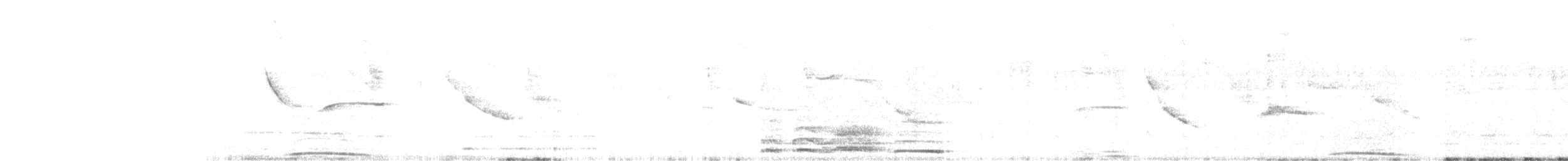 Tolima Dove - ML635645774