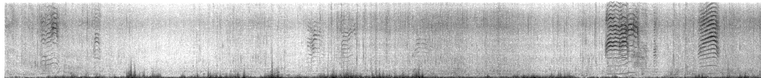 Flesh-footed Shearwater - ML635646434