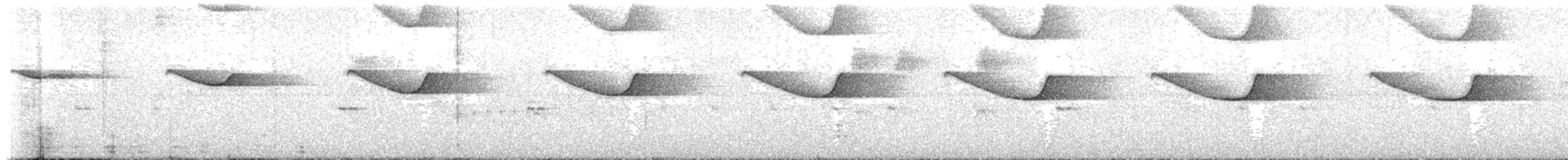 Brazilian Laniisoma - ML635647036