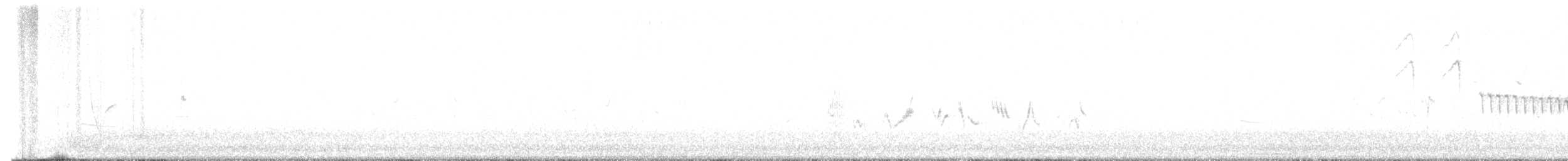Bewick's Wren - ML635649587