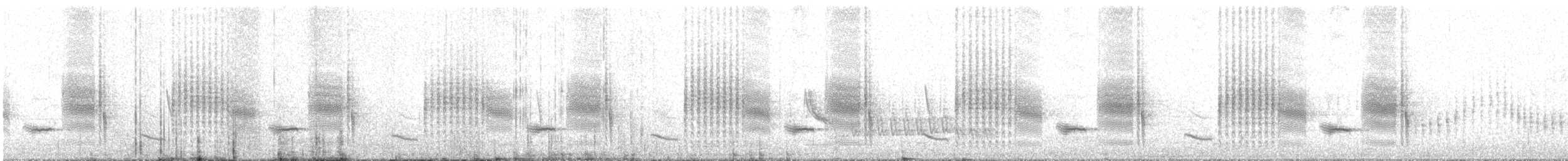 Apolinar's Wren - ML635654087