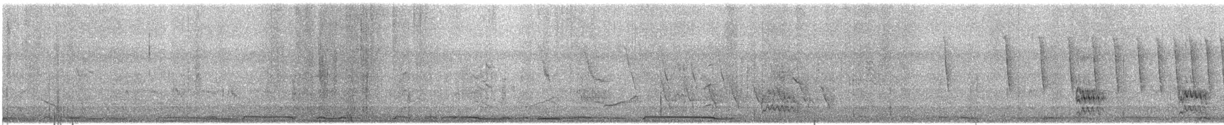 White-winged Dove - ML635654502