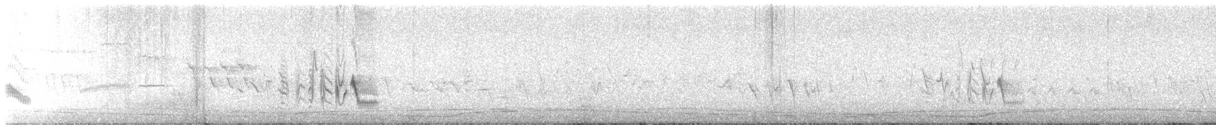 Bell's Vireo (Least) - ML635654558
