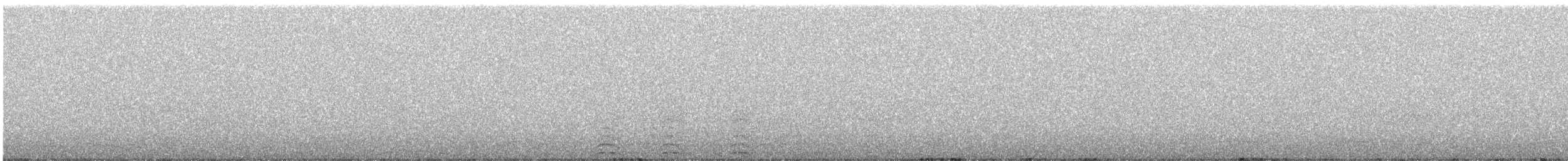Chouette leptogramme - ML635654997