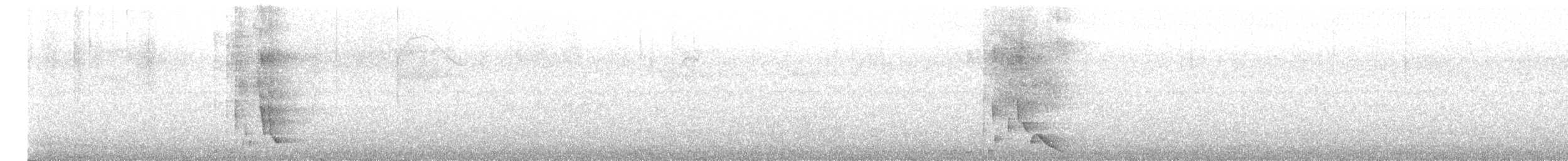 Russet-backed Oropendola - ML635657485