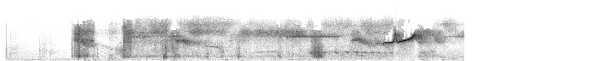 Forest Elaenia - ML635658970
