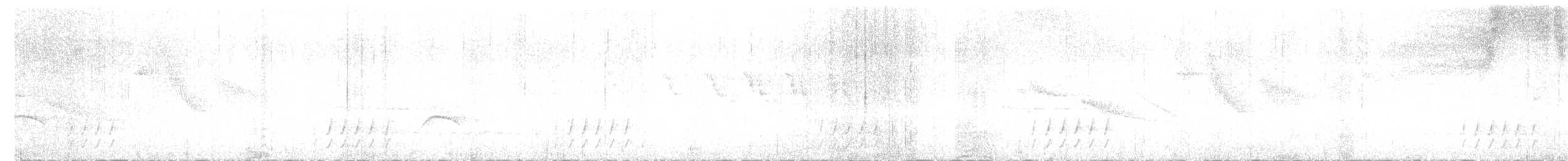 Ak Taçlı Tapakola - ML635663620