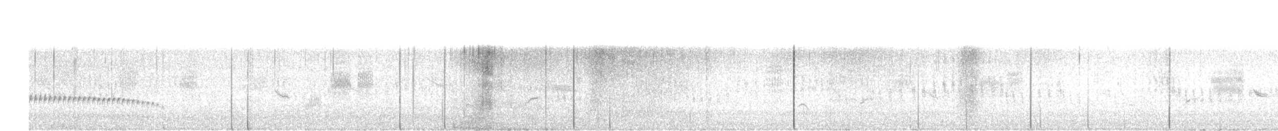 Pale-bellied Tapaculo - ML635664502