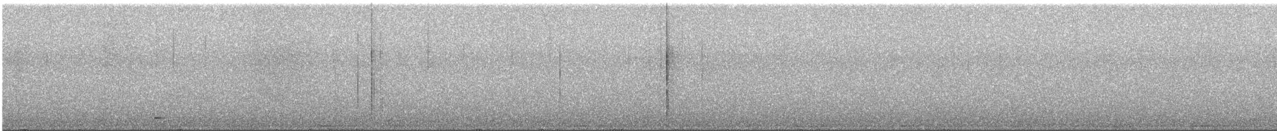 Flammulated Owl - ML635668290