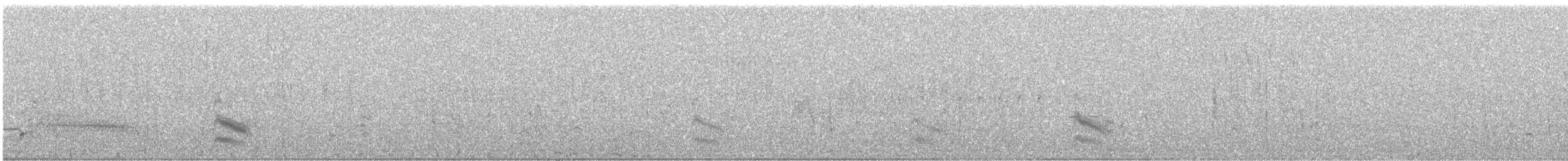 Forster's Tern - ML635669844