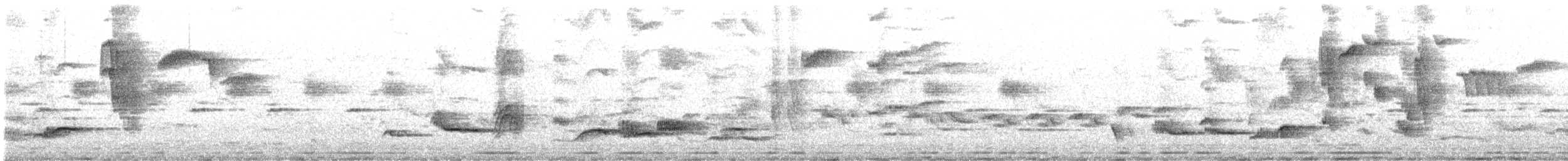 racek středomořský - ML635669935