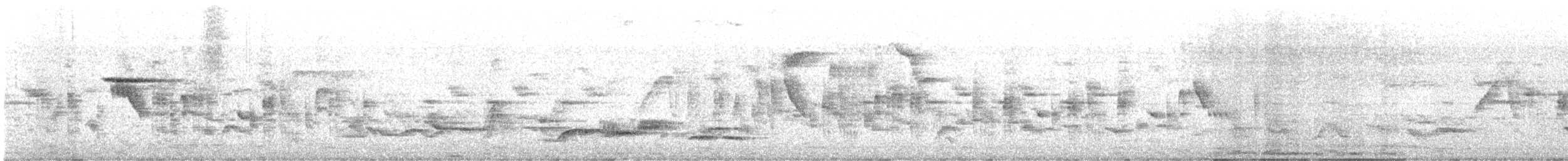 racek středomořský - ML635670215