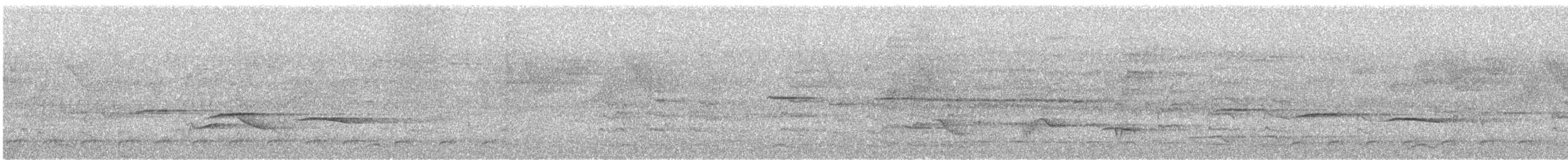 Black-winged Cuckooshrike - ML635671383