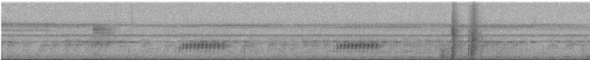 Plain Greenbul (curvirostris) - ML635672074